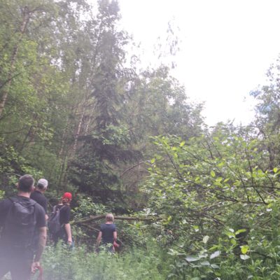 Geht das hier weiter?