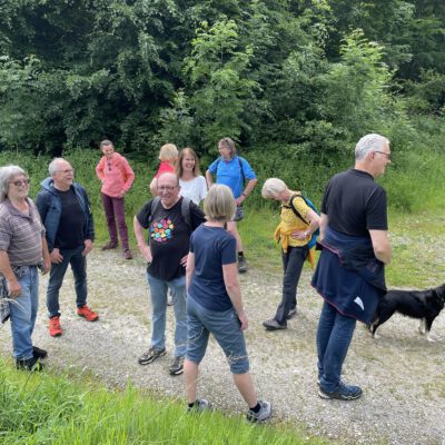 Wo bleiben die denn??